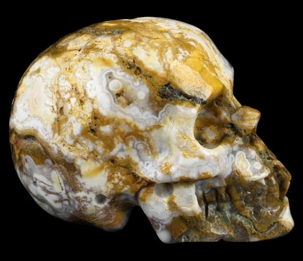 Skull Ocean Jaspis